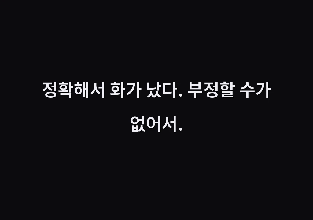 정확해서 화가 났다. 부정할 수가 없어서.