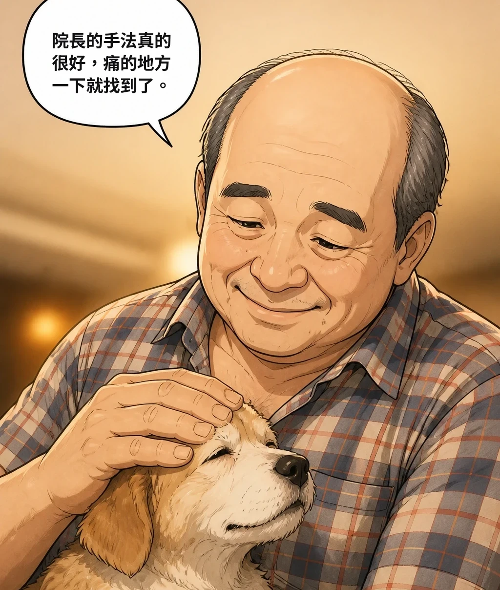 院長的手法真的很好，痛的地方一下就找到了。