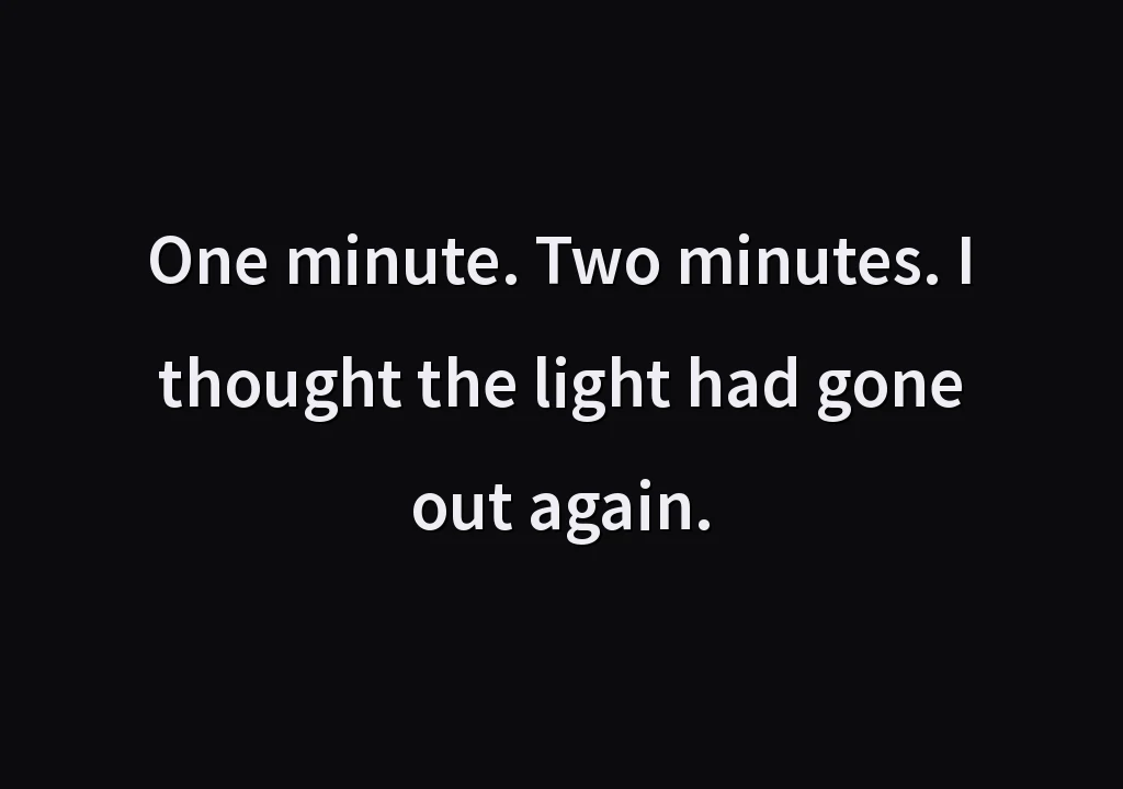 One minute. Two minutes. I thought the light had gone out again.