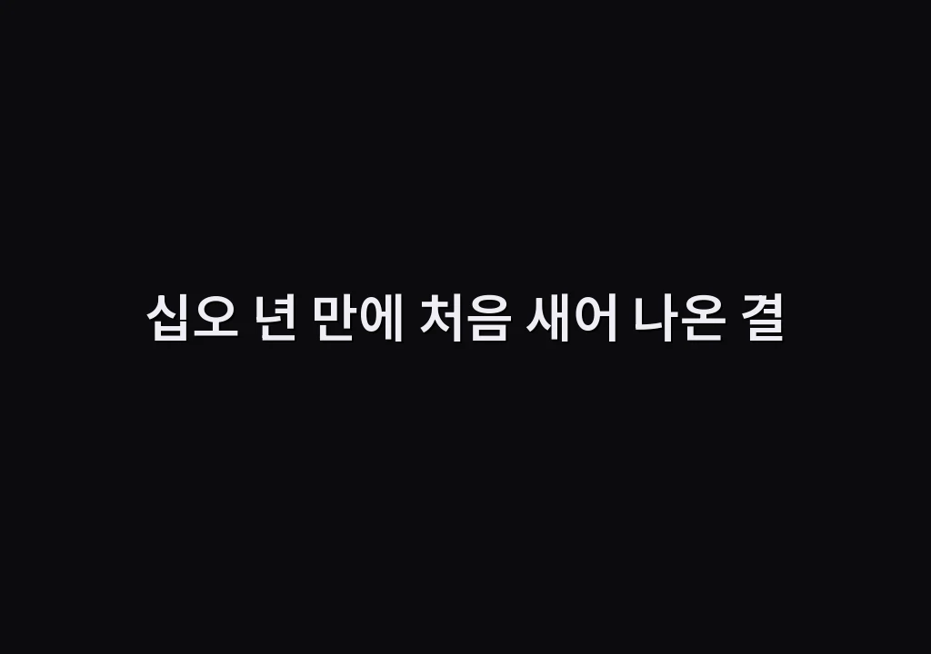 십오 년 만에 처음 새어 나온 결