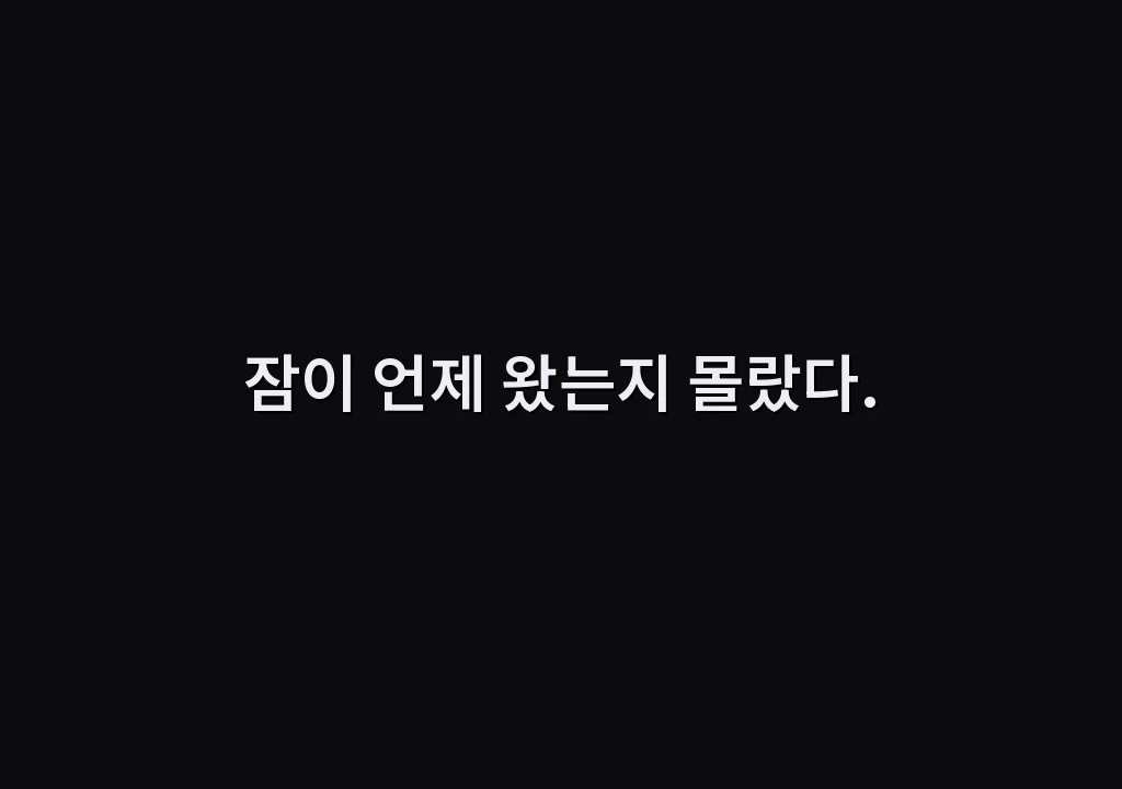 잠이 언제 왔는지 몰랐다.