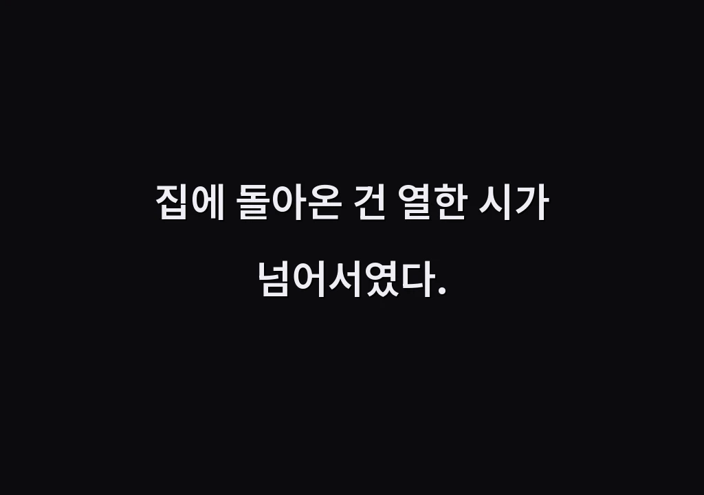 집에 돌아온 건 열한 시가 넘어서였다.