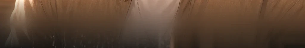 無題 #54