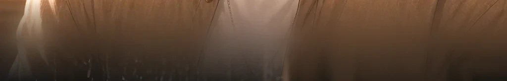 無題 #54